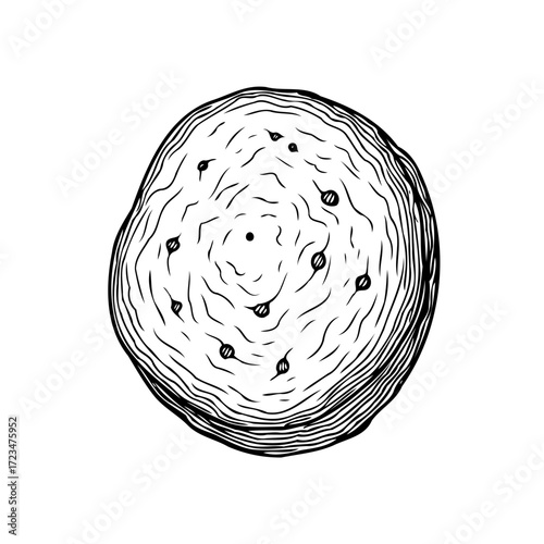 Detailed potato illustration highlighting organic texture and intricate line work depicting