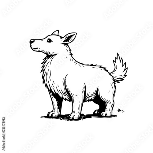 Detailed monochrome sketch of a vigilant canine standing alert with inquisitive expression