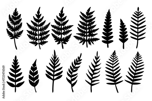 Set of fern leaf silhouettes, botanical illustration of various fern fronds for design elements, patterns, and natureinspired artwork