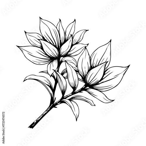 Elegant botanical illustration displaying stylized petals and foliage emphasizing detailed