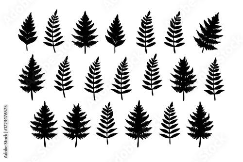 Collection of fern leaf silhouettes, botanical illustration of various fern fronds for design elements, patterns, and natureinspired artwork