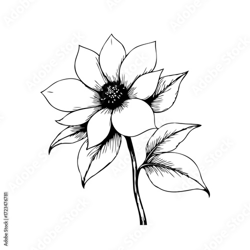 Elegant botanical illustration of a blooming flower with detailed petals and leaves on pure white
