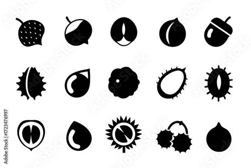 Collection of black and white icons depicting various nuts and seeds, including acorns, chestnuts, and other edible seeds