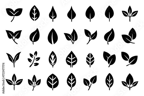 Set of leaf icons collection of various leaf silhouettes nature and ecology concept plant and tree elements illustration