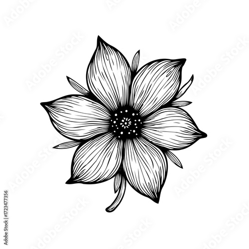 Elegant floral blossom design with intricate linework provides a sophisticated botanical graphic