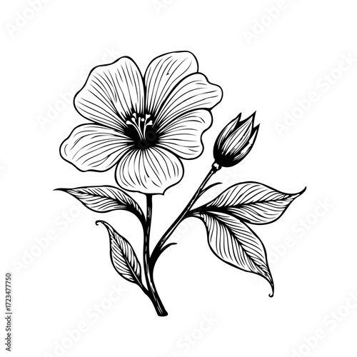 Elegant floral illustration portraying graceful botanical elements offering subtle beauty and