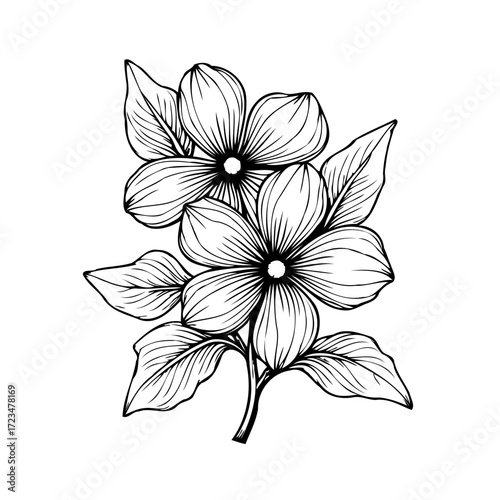 Elegant floral sketch with delicate petals and detailed line work creating a natural simplicity
