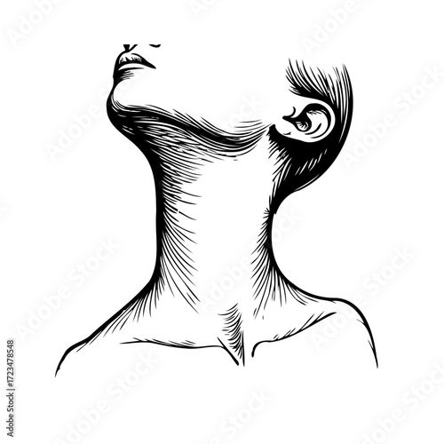 Elegant monochromatic sketch of a woman's neck and upper shoulders showing delicate lines
