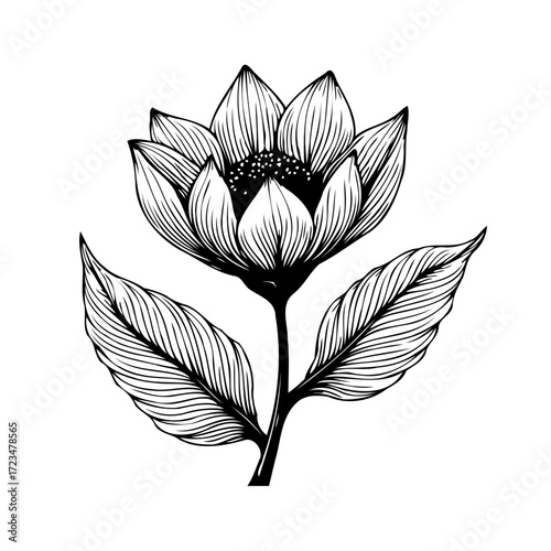 Elegant monochrome botanical illustration showcasing delicate floral artistry with finely detailed