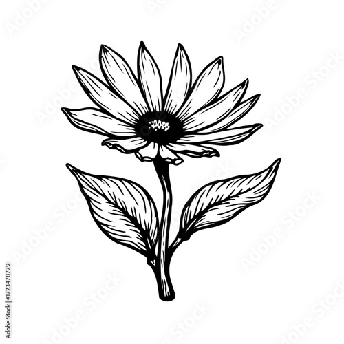 Elegant monochrome flower illustration with detailed petals stem and leaves in a vintage botanical