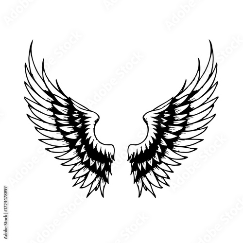 Elegant symmetrical wings artwork showcases feathered patterns and a stylized aesthetic design for