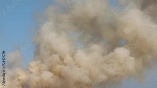 Big Fire Fast Moving by Dry Straw Field Near Forest. Stubble Burning with Smoke and Flames in a Blue Cloudy Sky. Ecology Disaster in Nature. Wildfire