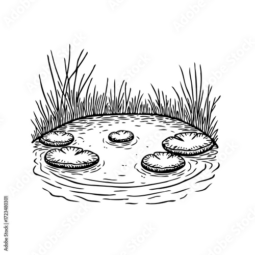 Hand drawn lily pads on pond water illustration, showcasing aquatic plants in natural environment