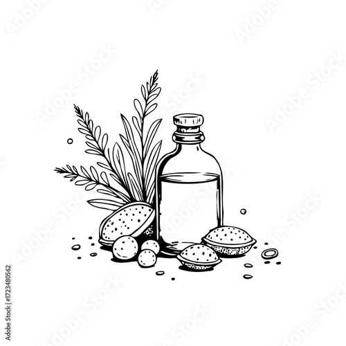 Hand-drawn composition showcases natural oil alongside botanical elements and almond ingredients