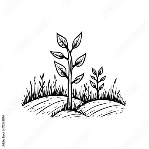 Illustration of saplings growing on agricultural land promoting environmental sustainability for a
