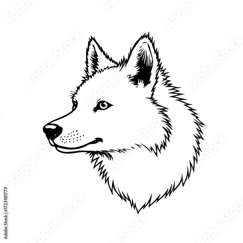 Illustrative wolf head portrait revealing majestic wilderness spirit and artistic expression
