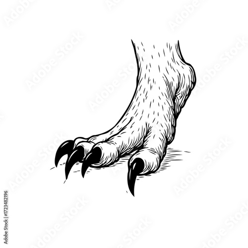 Intricate depiction of a formidable creature's limb highlighting powerful claws on display against