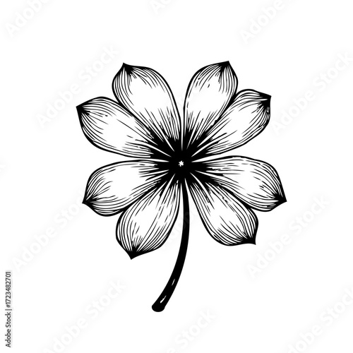 Intricate monochrome floral illustration with radial symmetry and refined line work showcases