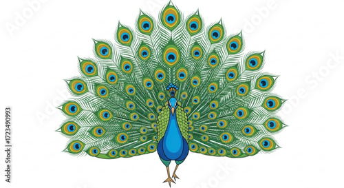 A stunning peacock with its iridescent tail feathers fully displayed, showcasing its beauty and elegance