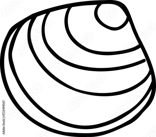 Black and white drawing of a clam shell