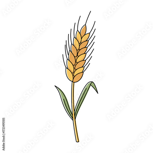 Wheat