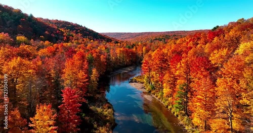 Showcasing the dynamic interplay of natural light and shadow across a diverse ecosystem, observing the subtle shifts in foliage hues and geological formations from a high-altitude perspective. no data