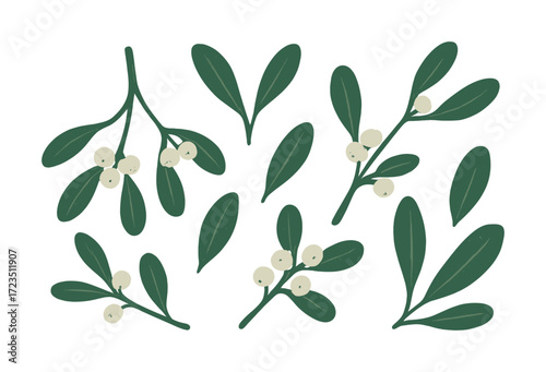 Collection of mistletoe branches with white berries on green leaves
