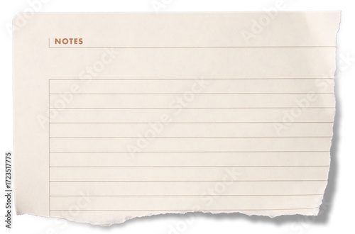 piece of paper isolated, ripped piece of notebook paper