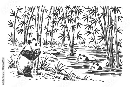 Pandas relaxing and eating bamboo surrounded by tall forest plants and leaves.