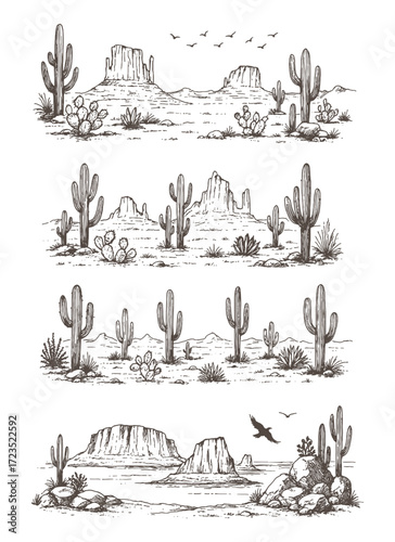 Hand-drawn desert landscapes with cactus, mesas, and sandy terrain in vintage illustration style.