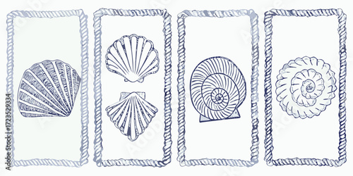 Four hand drawn nautical frames featuring seashells and nautilus shells in blue ink