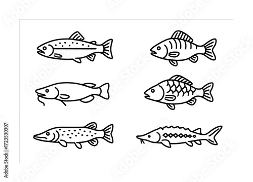 Illustrated collection of six different fish species in black and white