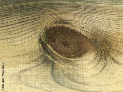 abstract wood texture resembling an eye
