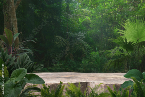 Wood stump podium stand with green tropical forest nature background.natural product pedestal wooden table top display.jungle paradise concept.