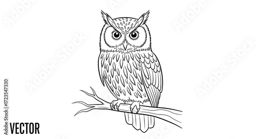 Owl on Branch Outline.
