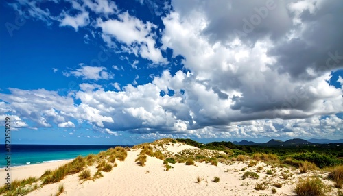 Fototapeta Naklejka Na Ścianę i Meble -  Coastal dune landscape