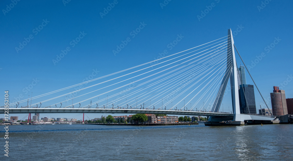 Naklejka premium Rotterdam city Erasmus bridge and modern architecture towers, Netherlands