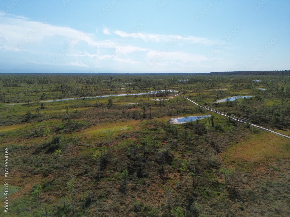 Naklejka premium Aerial panorama of marshland with scattered water pools and vegetation, bright sunny sky
