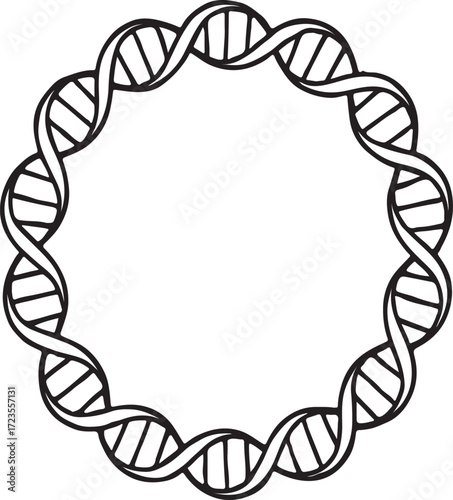 bacterial plasmid 