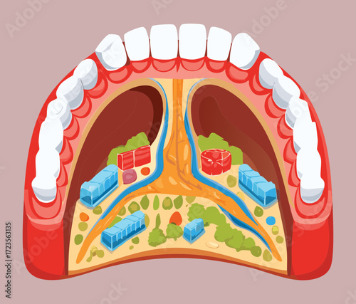 Intricate sagittal cross-section of the nasal and oral cavities, showing the septum, turbinates, and the pharyngeal region, with detailed bone and tissue separation	