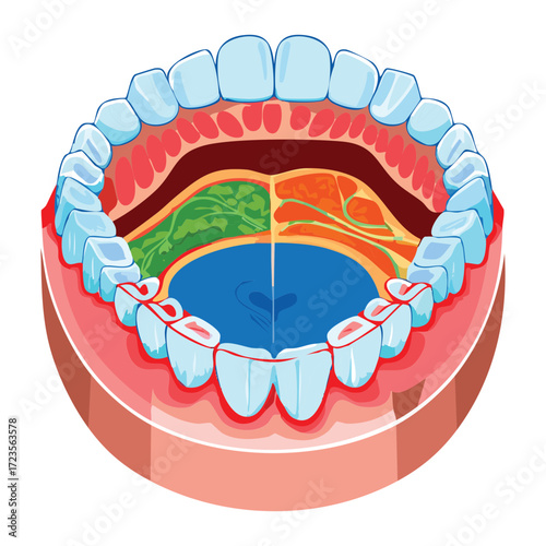 A stylized anatomical cutaway of the open mouth, superimposing an outdoor landscape of grass and sky onto the internal structures for a unique visual concept	
