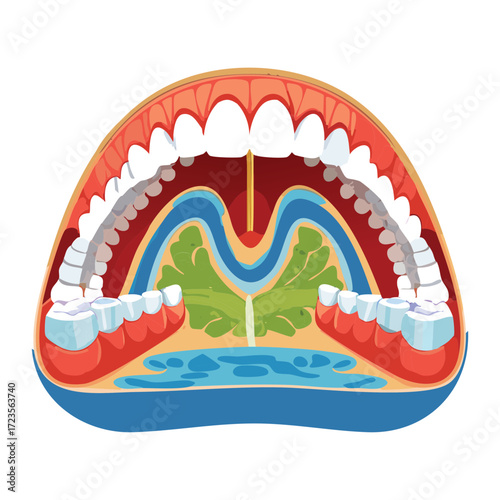 An overhead anatomical view of the oral cavity, emphasizing the relationship between the tongue, hard and soft palates, and the pharyngeal structures in a simple diagram	
