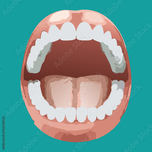 Full-view illustration of a wide-open mouth, showing healthy white teeth, pink gums, and the back of the throat and tonsils against a teal background	
