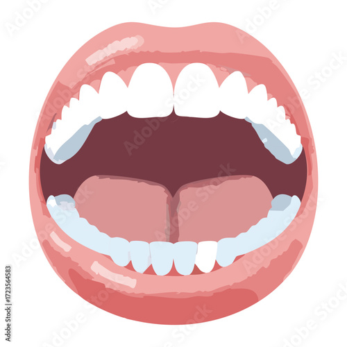 Wide-open mouth illustration, showing healthy white teeth, pink gums, and the entire oral cavity with a clear view of the tongue and palate	