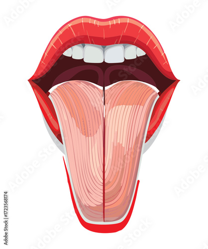 Human Tongue Illustration with Detailed Muscle Structure and Sensory Nerves in a Deep Blue Background	