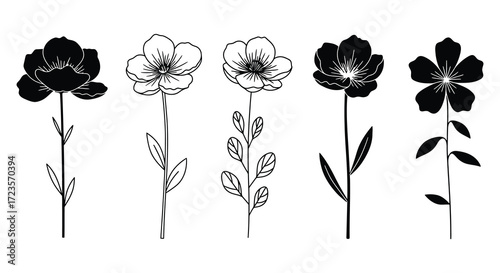 Floral arrangement of delicate blooms with contrasting dark and light silhouette