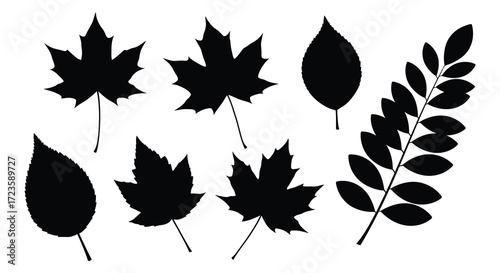 Variety of autumn leaves depicted in a striking black silhouette