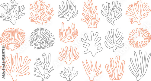 Coral Reef Silhouette Collection Underwater Marine Life Sea Ocean Aquatic Plants