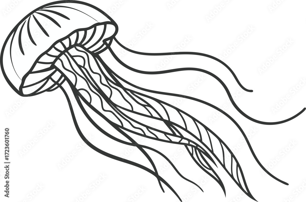Obraz premium Single Jellyfish Illustration Design. Detailed Jellyfish Ocean Artwork. Beautiful Jellyfish Marine Illustration. Isolated Jellyfish Creative Artwork. Elegant Jellyfish Sea Life Design. Colorful Jelly