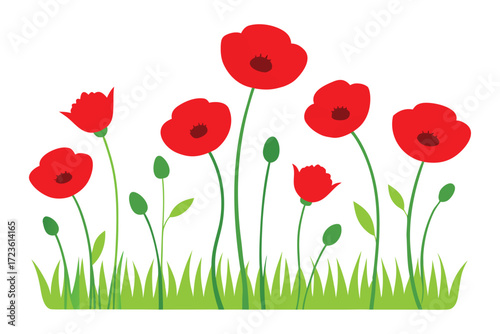 A beautiful summer meadow full of vibrant red poppies and other wildflowers against a lush green background